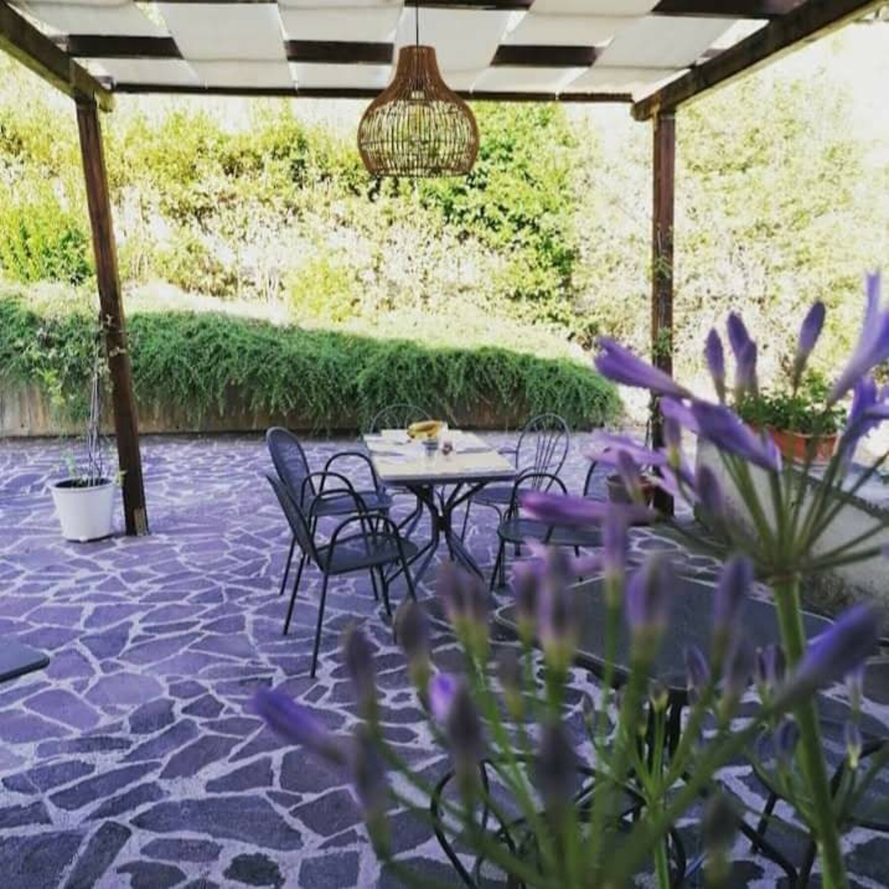 Il pergolato dell'agriturismo